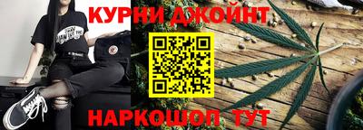 сатива Будённовск