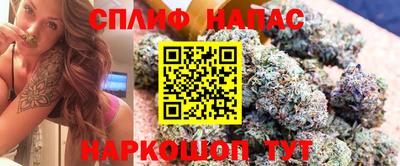 сатива Будённовск